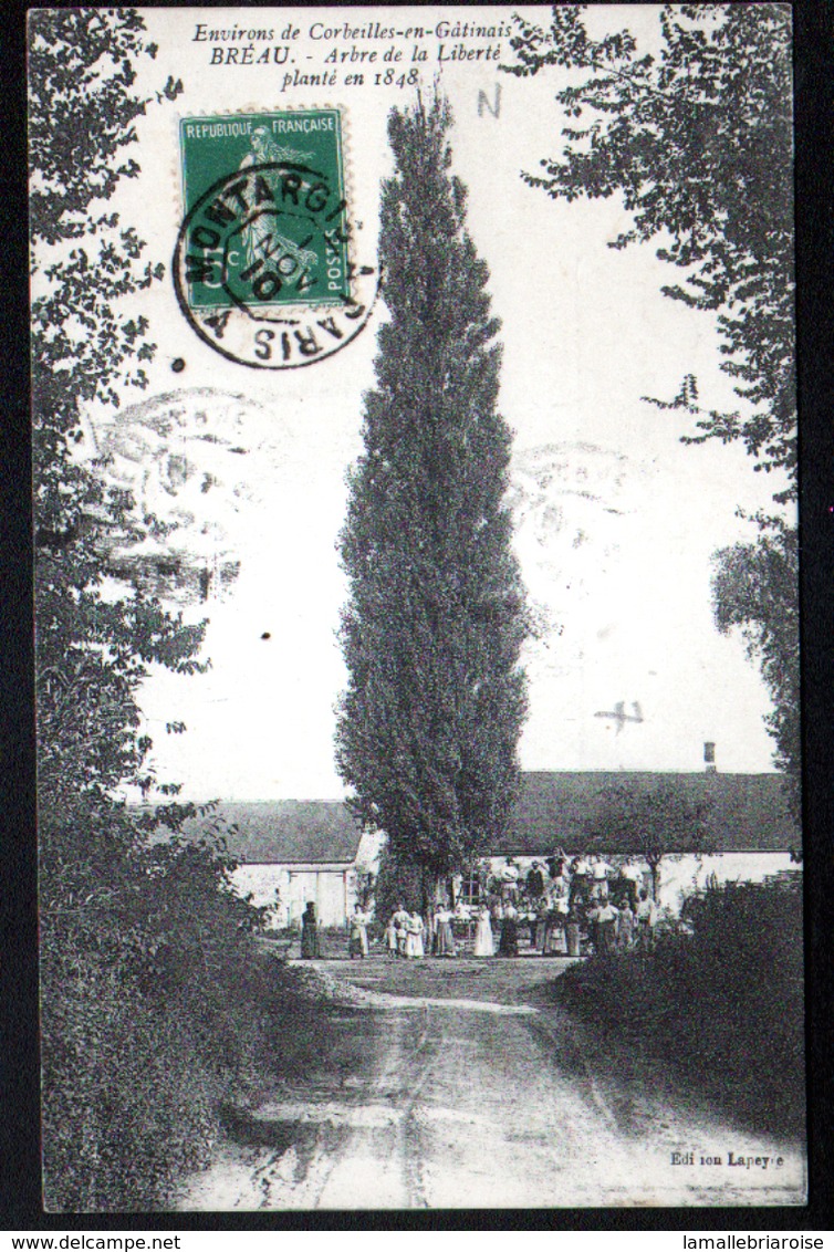 45, Environs De Corbeilles Du Gatinais, Beau, Arbre De La Liberte - Other & Unclassified