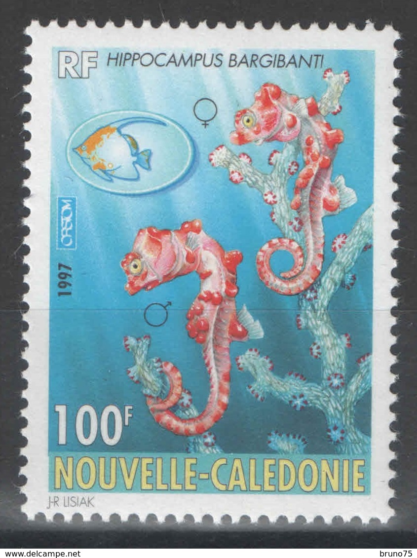 Nouvelle-Calédonie - YT 740 ** - 1997 - Neufs