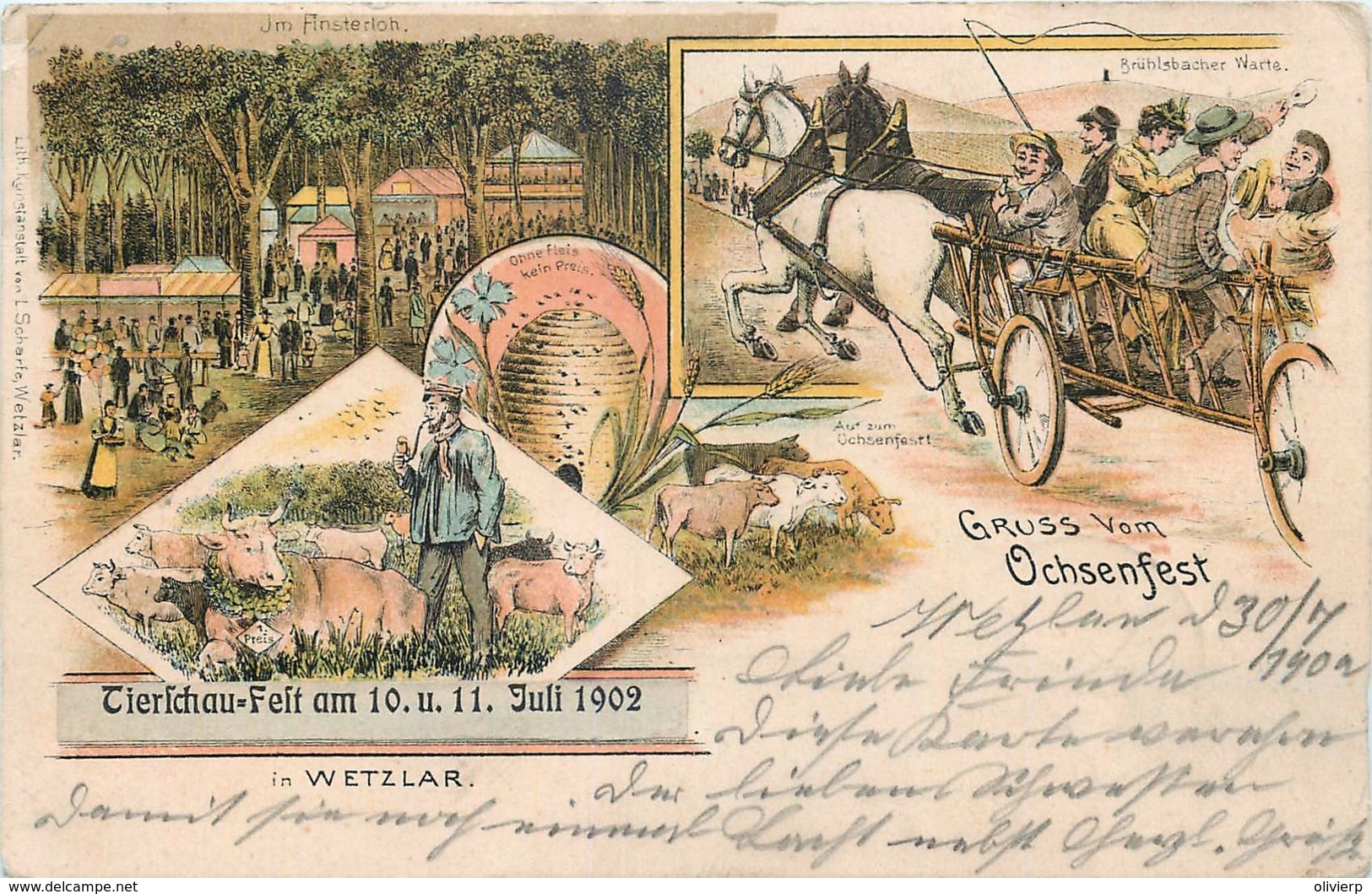 Deutschland - Wetzlar - Gruss Vom Ochsenfest - 1902 - Litho. - Wetzlar