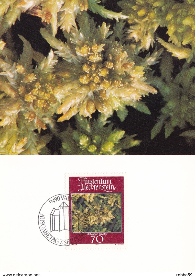 Liechtenstein 1981 Mosses And Lichens Set Of 4 Maximum Cards And Original Envelope - Maximum Cards