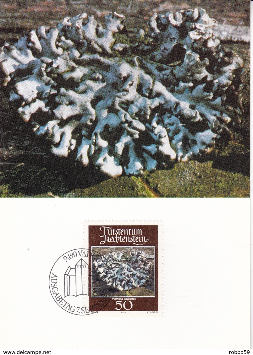 Liechtenstein 1981 Mosses And Lichens Set Of 4 Maximum Cards And Original Envelope - Maximum Cards