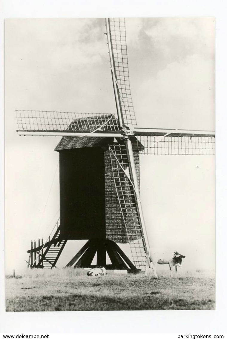 D053 - Mater De Oude Molen - Anno 1768 - Molen - Moulin - Mill - Mühle - Autres & Non Classés