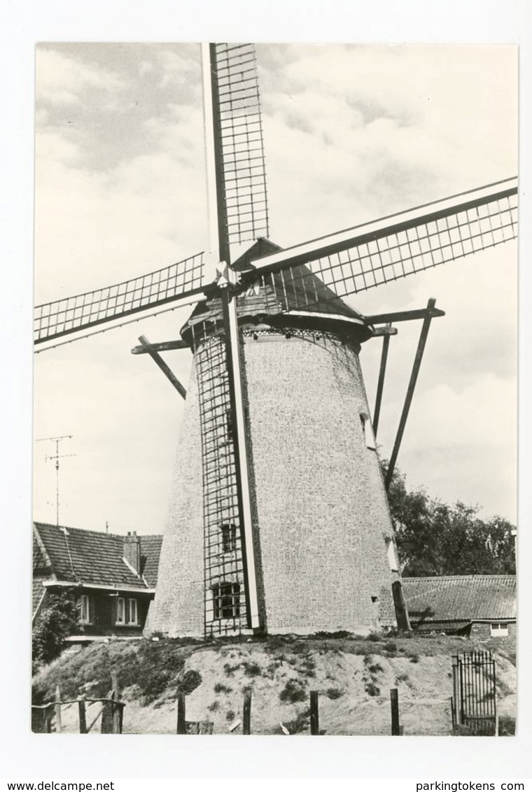 D056 - Hamme De Grote Napoleon - Anno 1810 - Molen - Moulin - Mill - Mühle - Andere & Zonder Classificatie