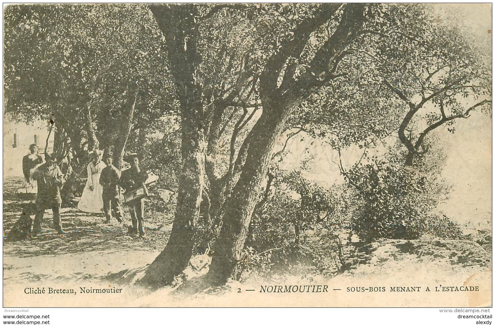 85 ILE DE NOIRMOUTIER. Sous Bois Menant à Estacade - Ile De Noirmoutier