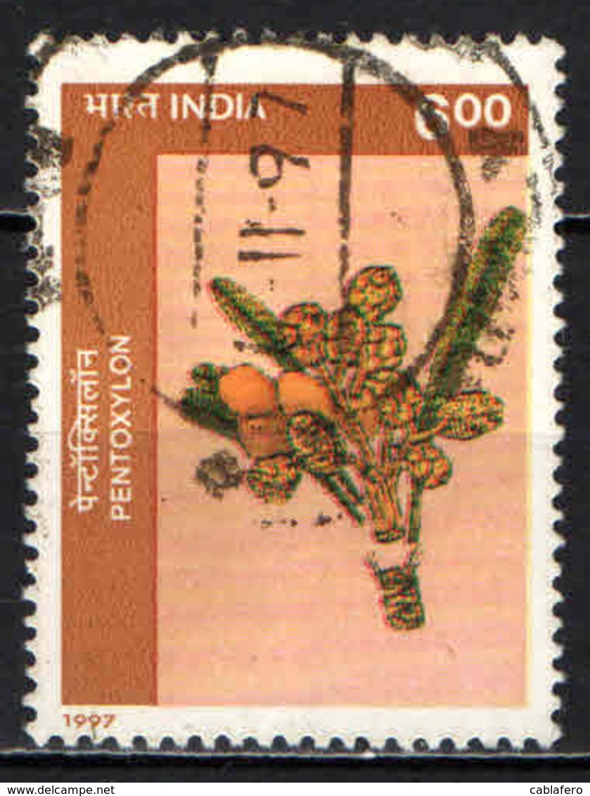 INDIA - 1997 - Pentoxylon - Pianta Fossile - USATO - Usati