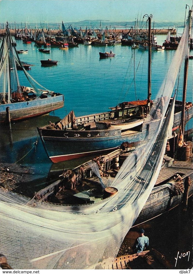 29 Douarnenez Le Port Des Sardiniers (2 Scans) - Douarnenez