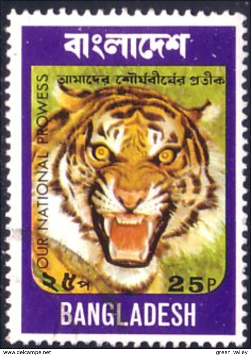 166 Bangladesh Tigre Tiger Tigger (BAN-8) - Big Cats (cats Of Prey)