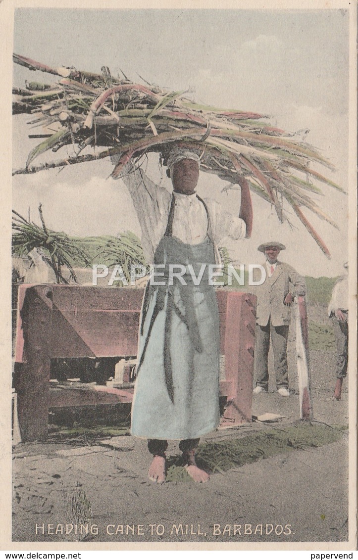 Barbados  Heading Cane To The Mill  Bs195 - Barbados (Barbuda)