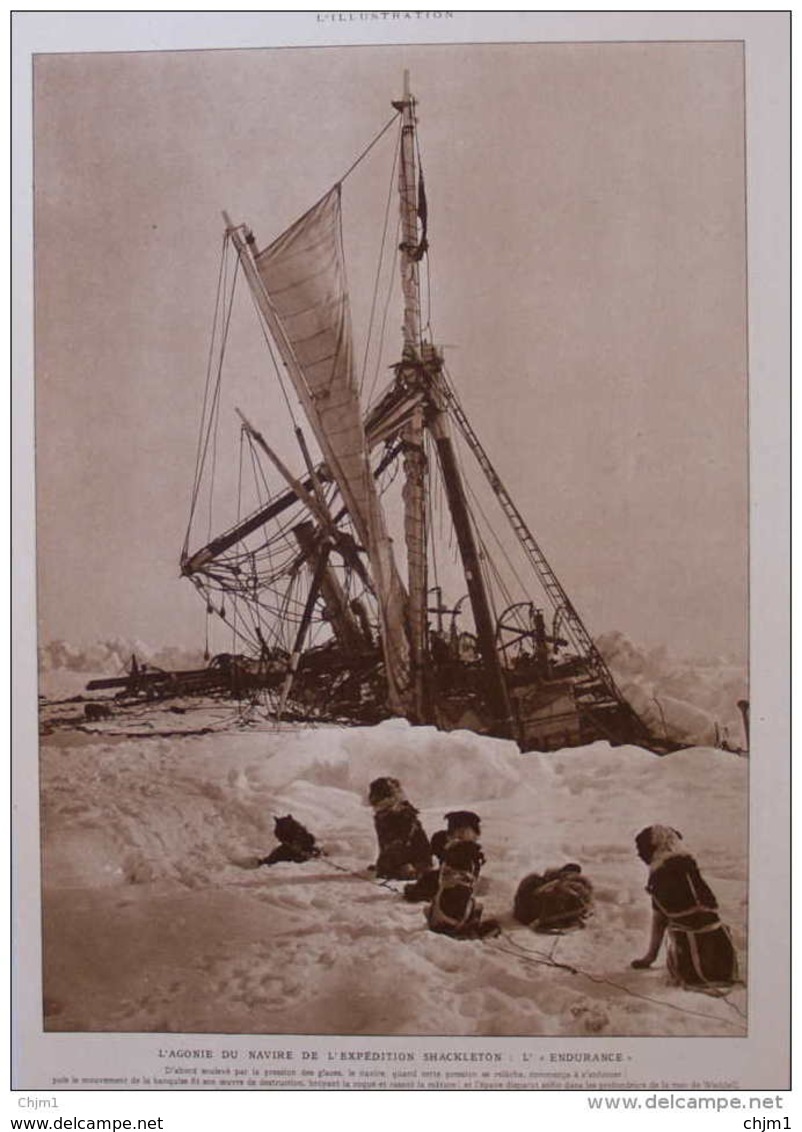 L'agonie Du Navire De L'expédition Shackleton - Page Original  1917 - Documenti Storici