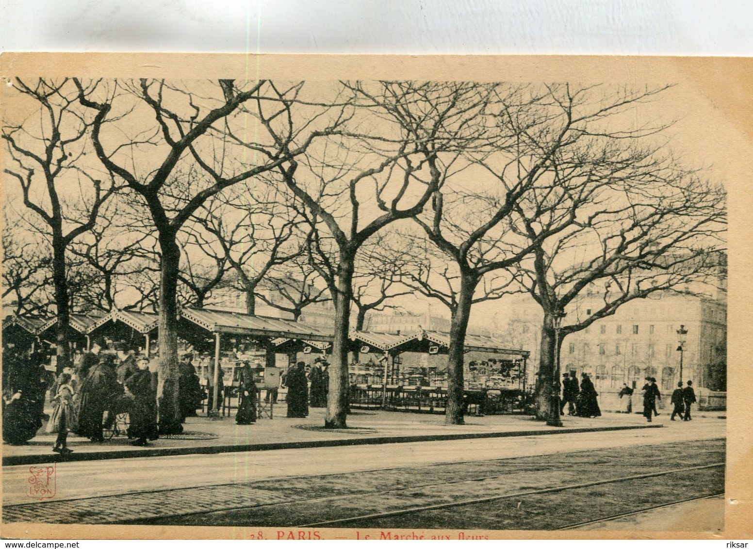 PARIS(4em ARRONDISSEMENT) MARCHE AUX FLEURS(ARBRE) - Arrondissement: 04