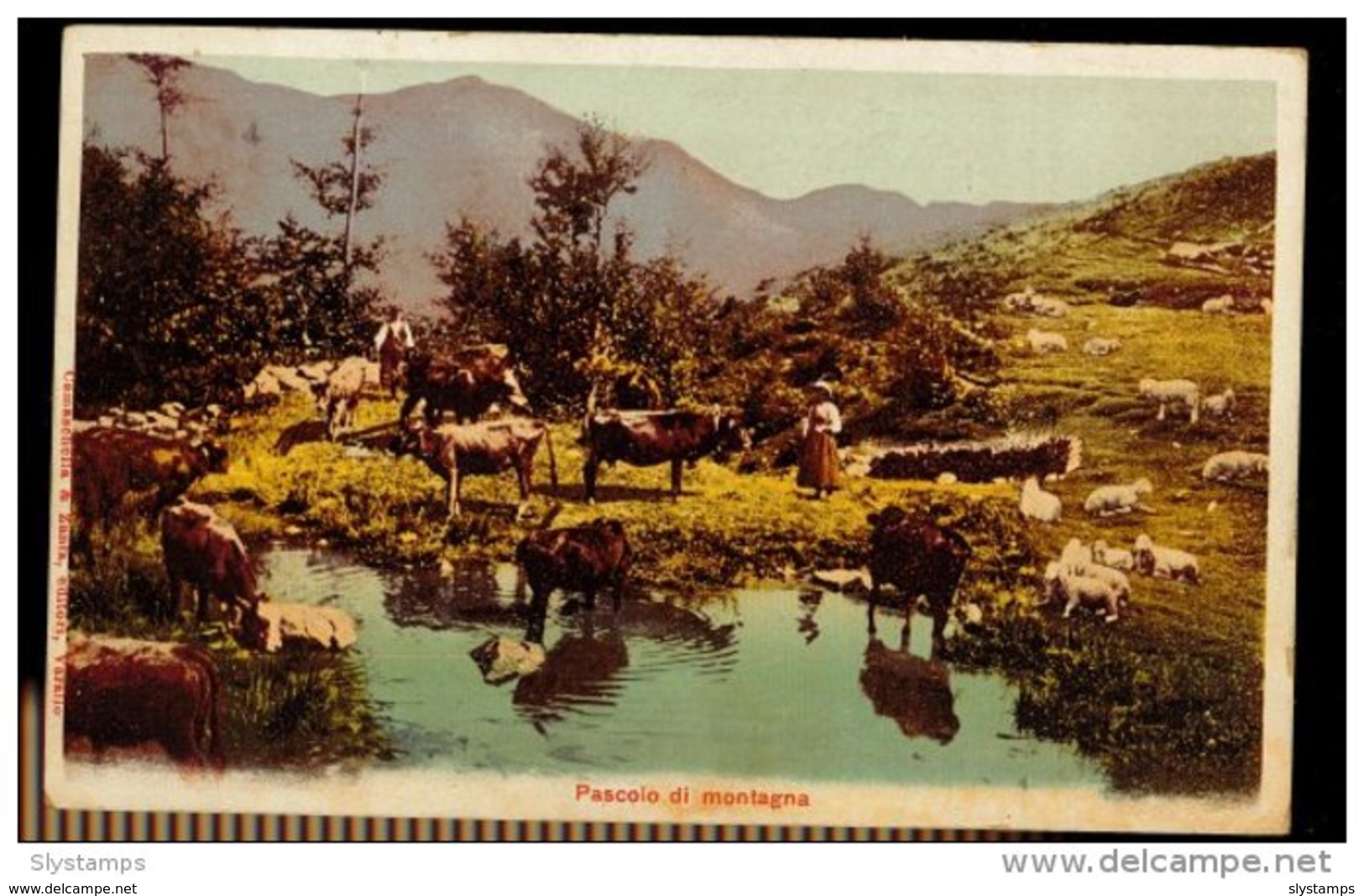 CPA PASCOLO DI MONTAGNA ANIMEE BERGERE ET SES BETES 1909 CAMASCHELLEA &amp; ZANIA EDIT VARALLO - Altri & Non Classificati