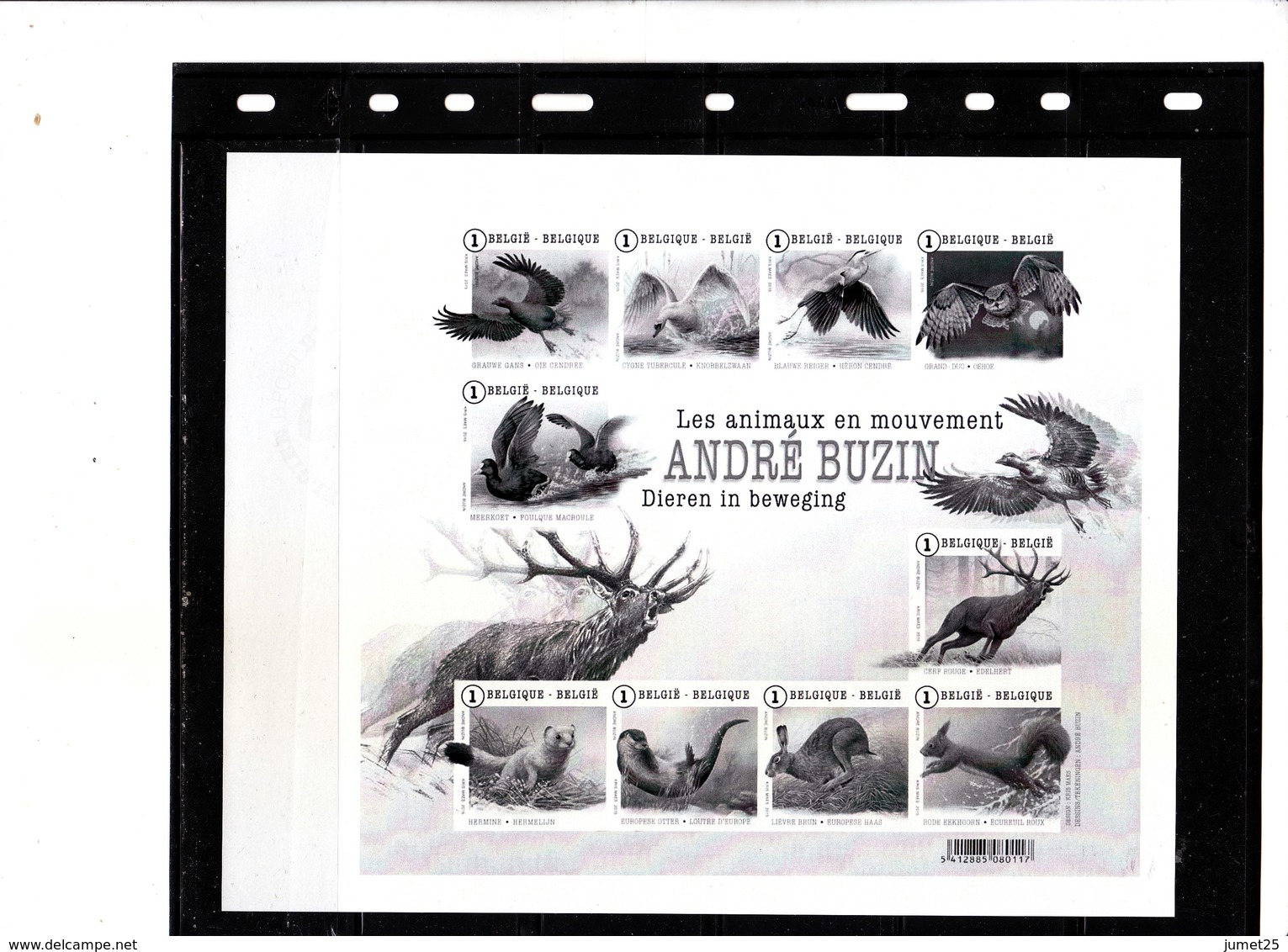 Buzin - Souvenirs Les Animaux En Mouvement Noir Et Blanc - 1985-.. Birds (Buzin)