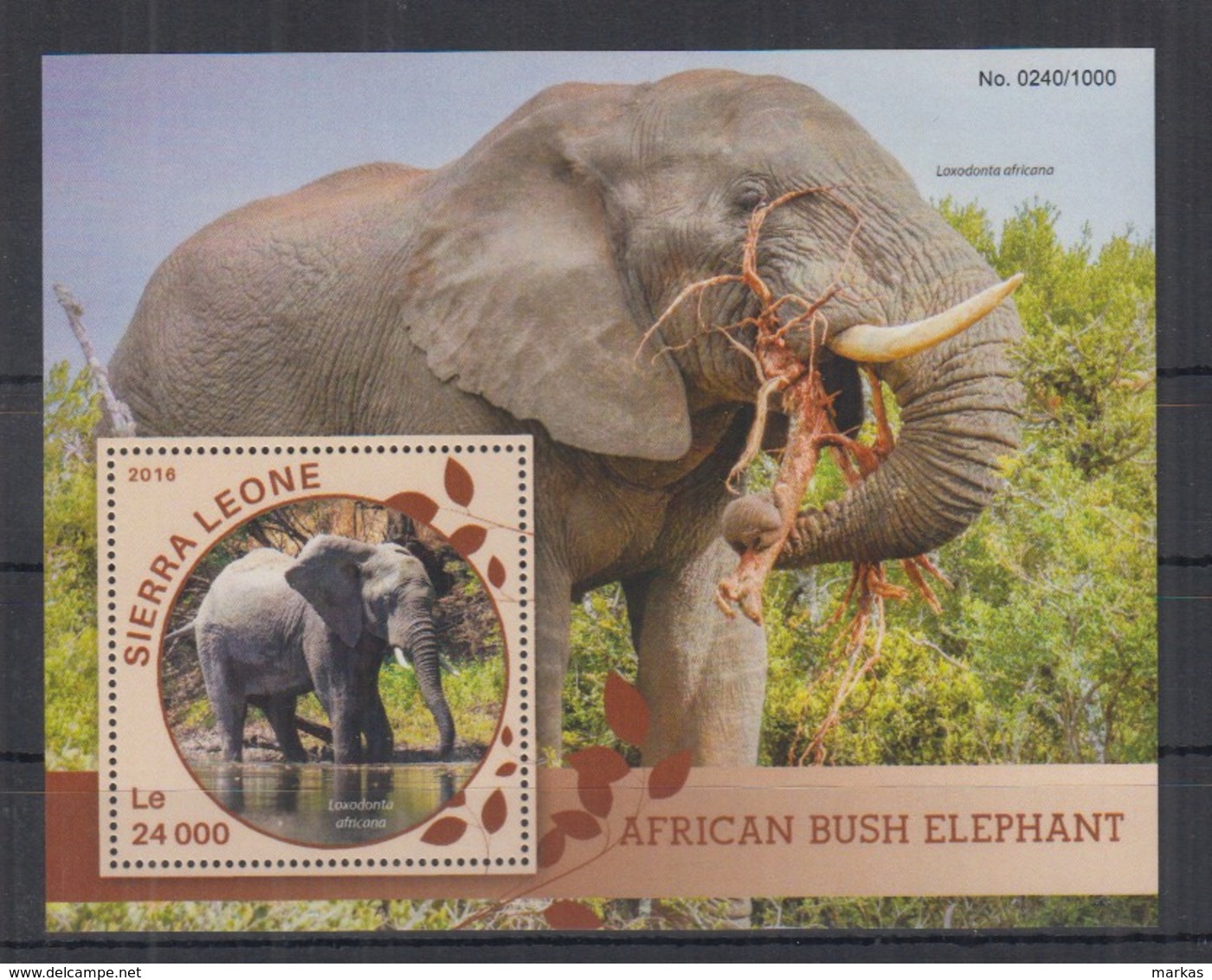 G227. Sierra Leone - MNH - 2016 - Fauna - Wild Animals - Elephants - Bl - Autres & Non Classés