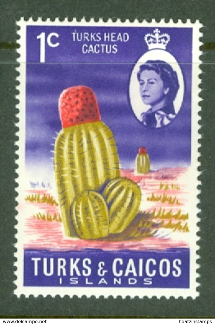 Turks & Caicos Is: 1971   QE II - Pictorial - Decimal Currency  SG333    1c    MH - Turks And Caicos