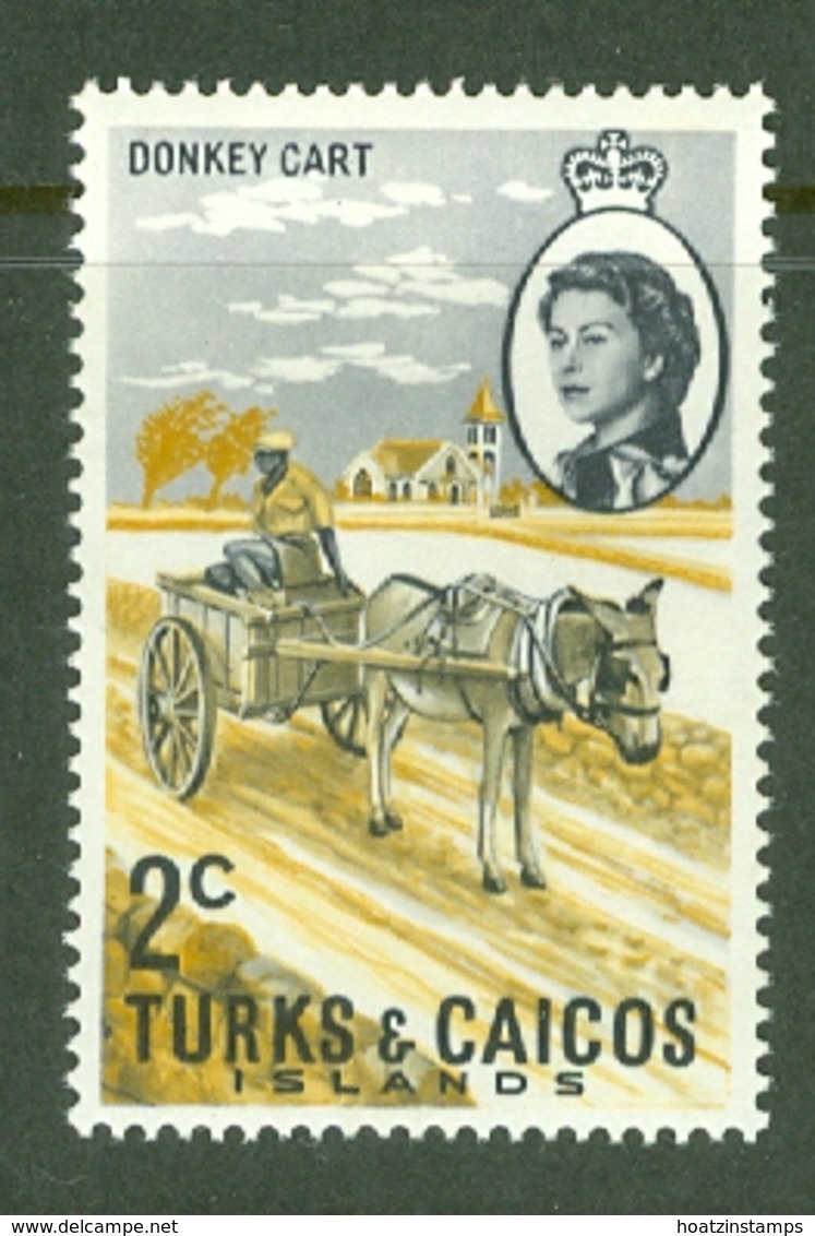 Turks & Caicos Is: 1971   QE II - Pictorial - Decimal Currency  SG334    2c    MH - Turks And Caicos