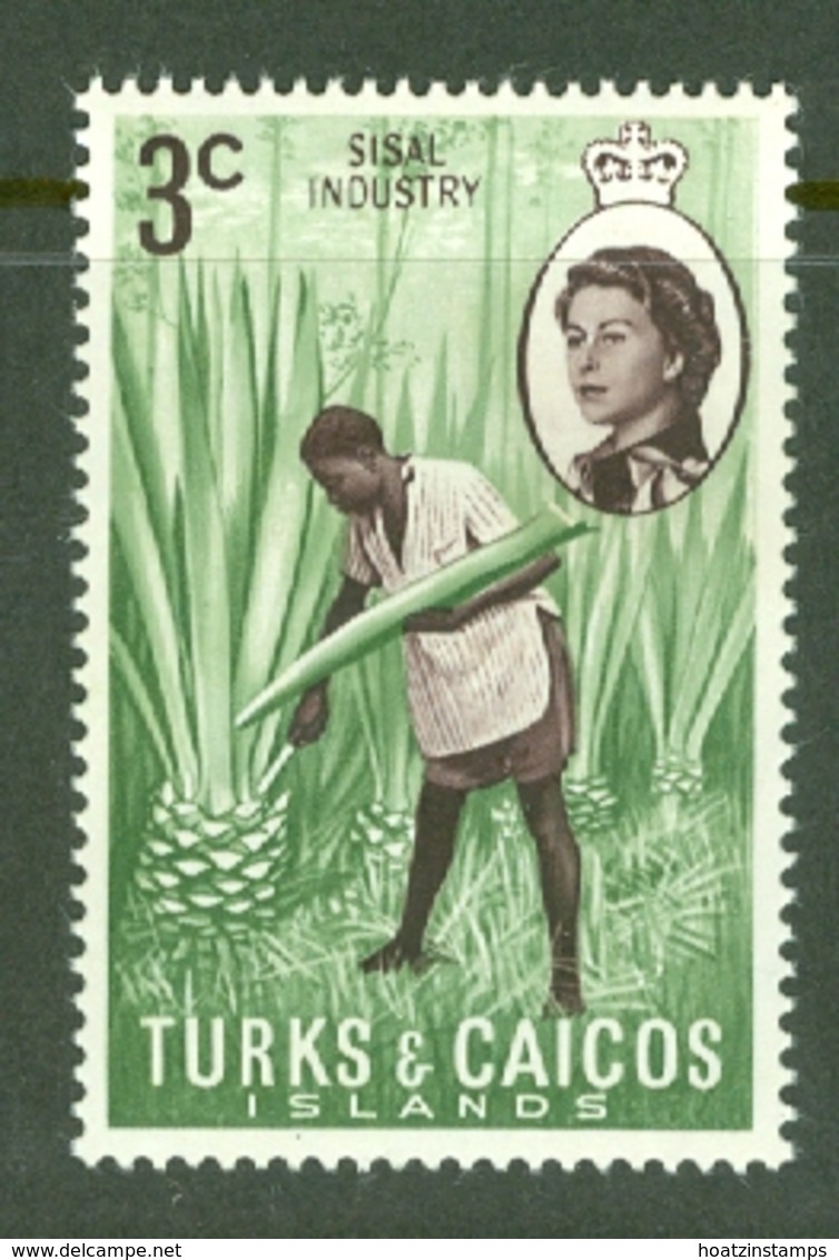 Turks & Caicos Is: 1971   QE II - Pictorial - Decimal Currency  SG335    3c    MH - Turks And Caicos