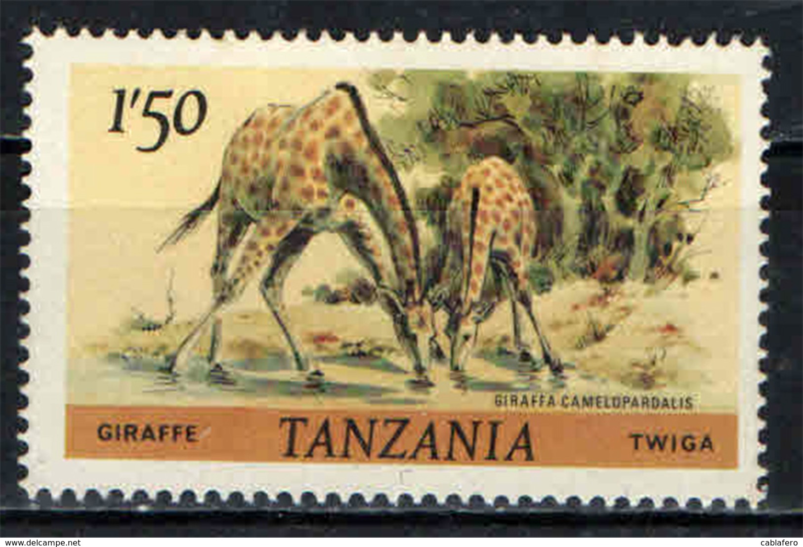 TANZANIA - 1980 - GIRAFFE - MNH - Tanzania (1964-...)