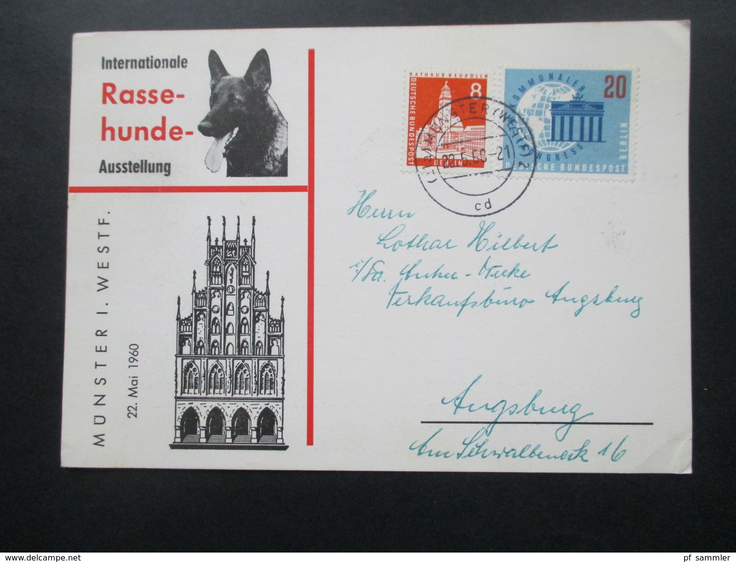 Sonderkarte Internationale Rasse Hunde Ausstellung Münster Westfalen Mit Berlin Marken! Nach Ausgburg Gesendet / Bedarf - Storia Postale
