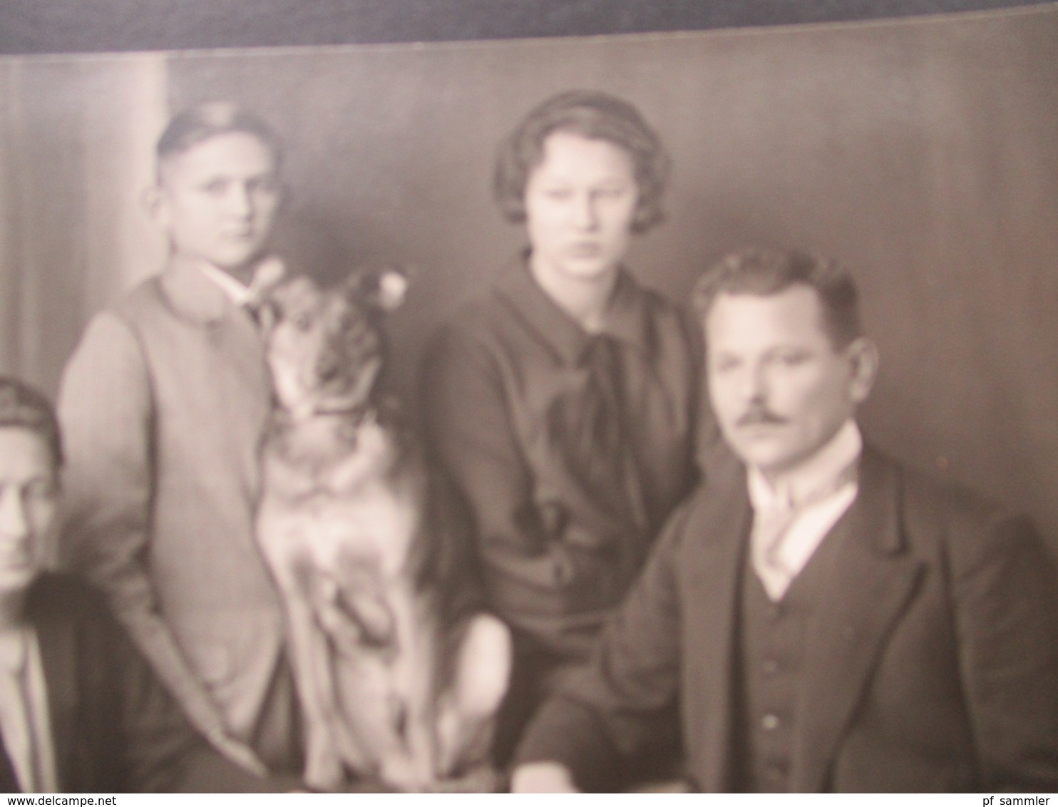 Echtfoto AK 1928 Sudeten / Heute Tschechien Familie Mit Hund Photograph Georg Treimer Kriescht N.-M. - Sudeten