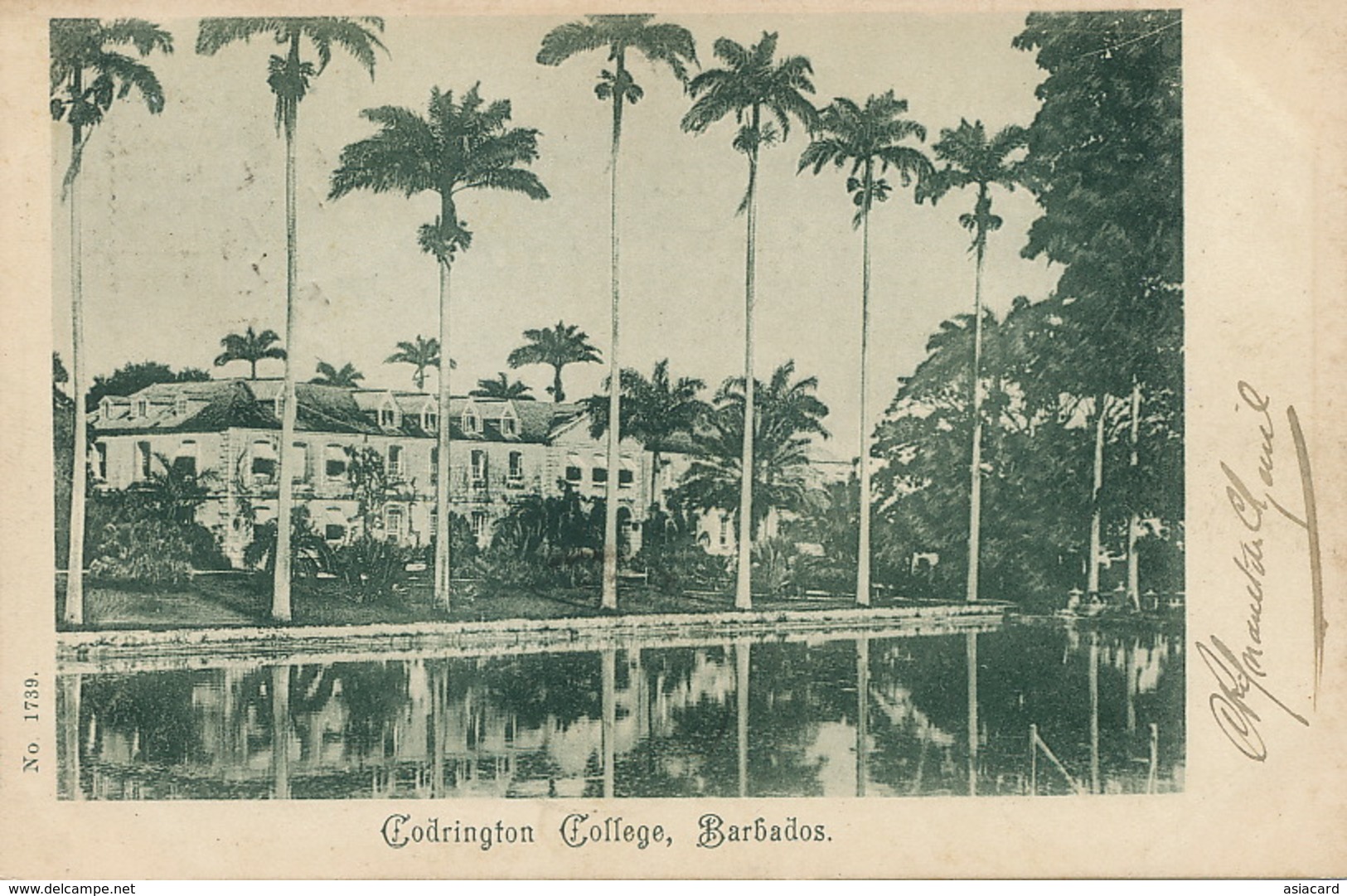 Barbados  Codrington College  P. Used Port Of Spain Trinidad In 1902 - Barbades