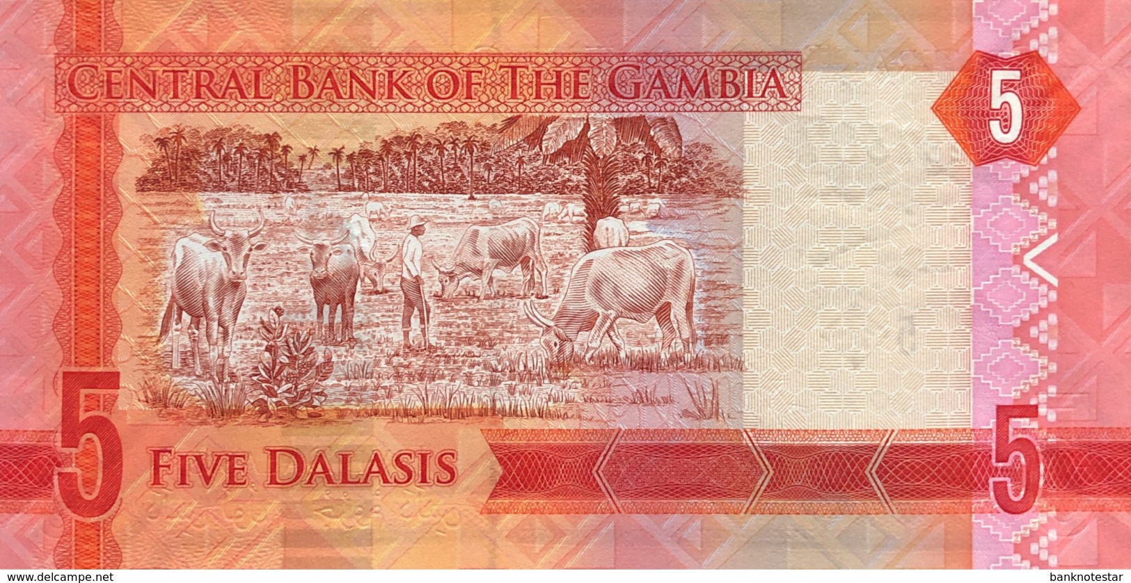 Gambia 5 Dalasi, P-31 (2015) - UNC - Gambia