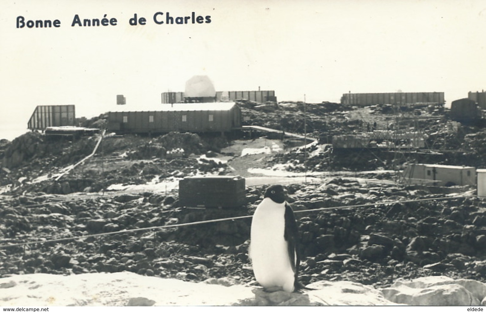Real Photo Terres Australes Antarctiques France Station Pingouin 1970 - TAAF : Terres Australes Antarctiques Françaises