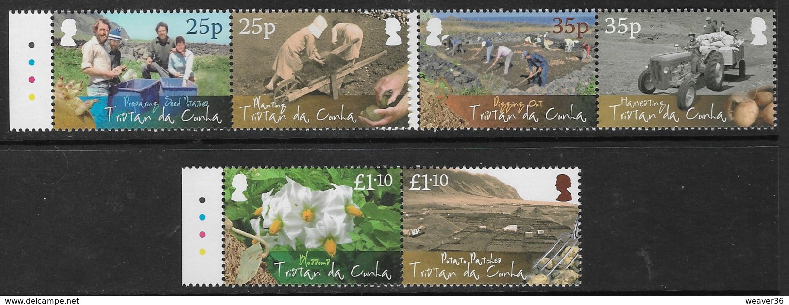 Tristan Da Cunha 2009 Potato Production Set 6v Se-tenant Complete Unmounted Mint [5/4942/ND] - Tristan Da Cunha