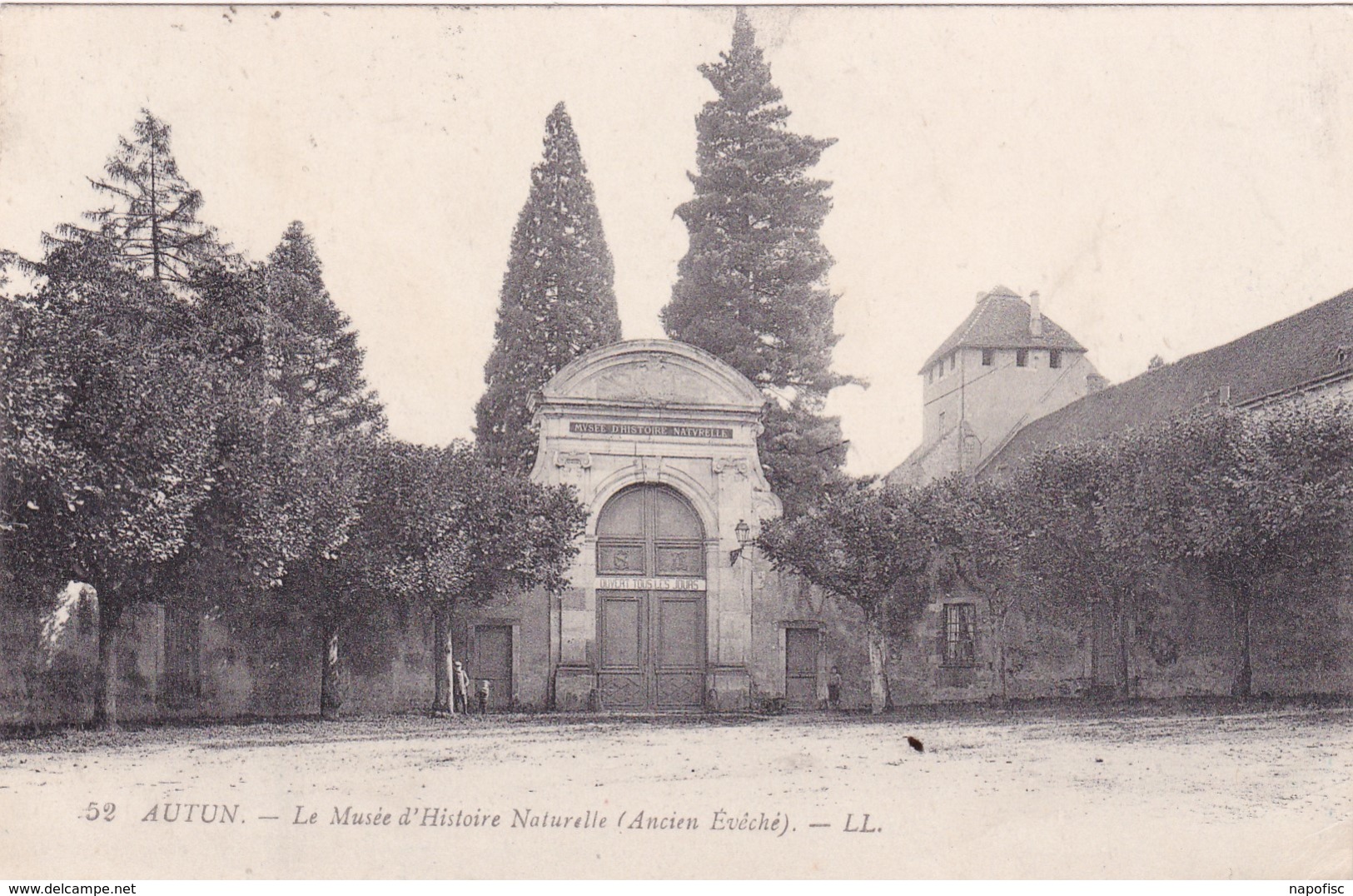 71-Autun-Le Musée D'Histoire Naturelle - Autun