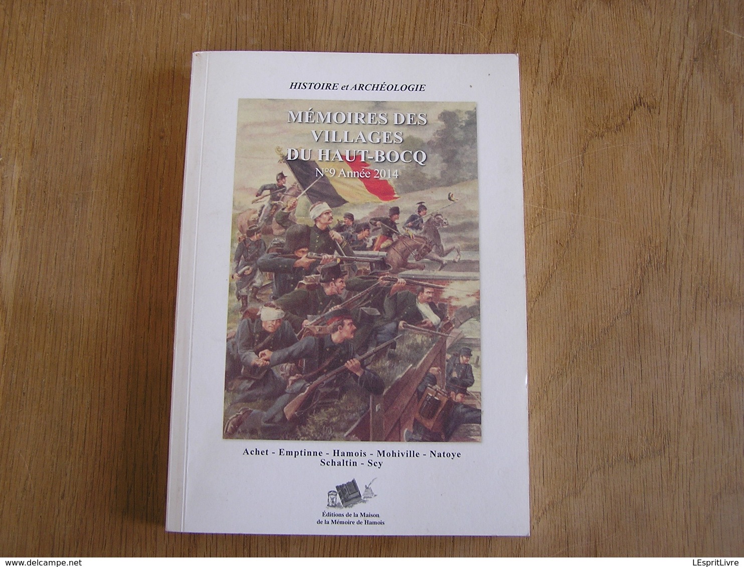 MEMOIRES DES VILLAGES DU HAUT BOCQ N° 9 Régionalisme Emptinne Hamois Scy Mohiville Invasion Allemande Guerre 14 18 - Oorlog 1914-18