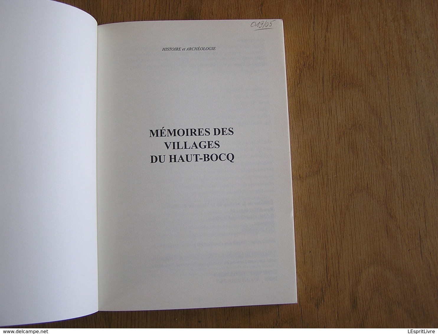 MEMOIRES DES VILLAGES DU HAUT BOCQ N° 9 Régionalisme Emptinne Hamois Scy Mohiville Invasion Allemande Guerre 14 18 - Guerre 1914-18