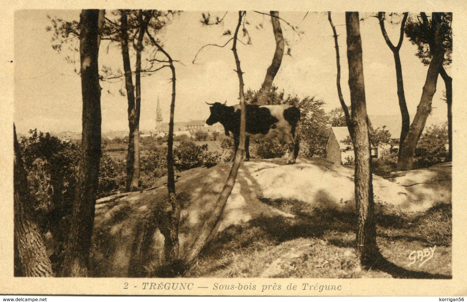 TREGUNC ****   UNE VACHE DANS LE SOUS BOIS  **** - Trégunc