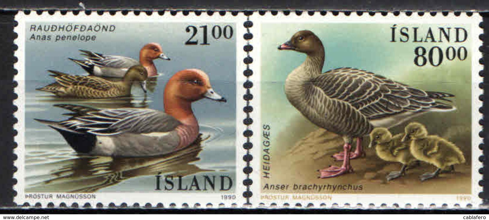 ISLANDA - 1990 - FAUNA LOCALE - UCCELLI - BIRDS - MNH - Nuovi