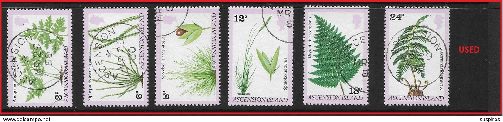 ASCENSION   1980 Ferns And Grasses  USED - Ascension (Ile De L')