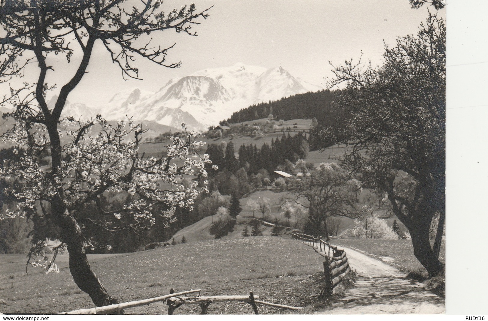 COMBLOUX   -    LE MONT BLANC ( Au Printemps))  -  Edit :René BOURDEAU De Macon  N°/ - Combloux