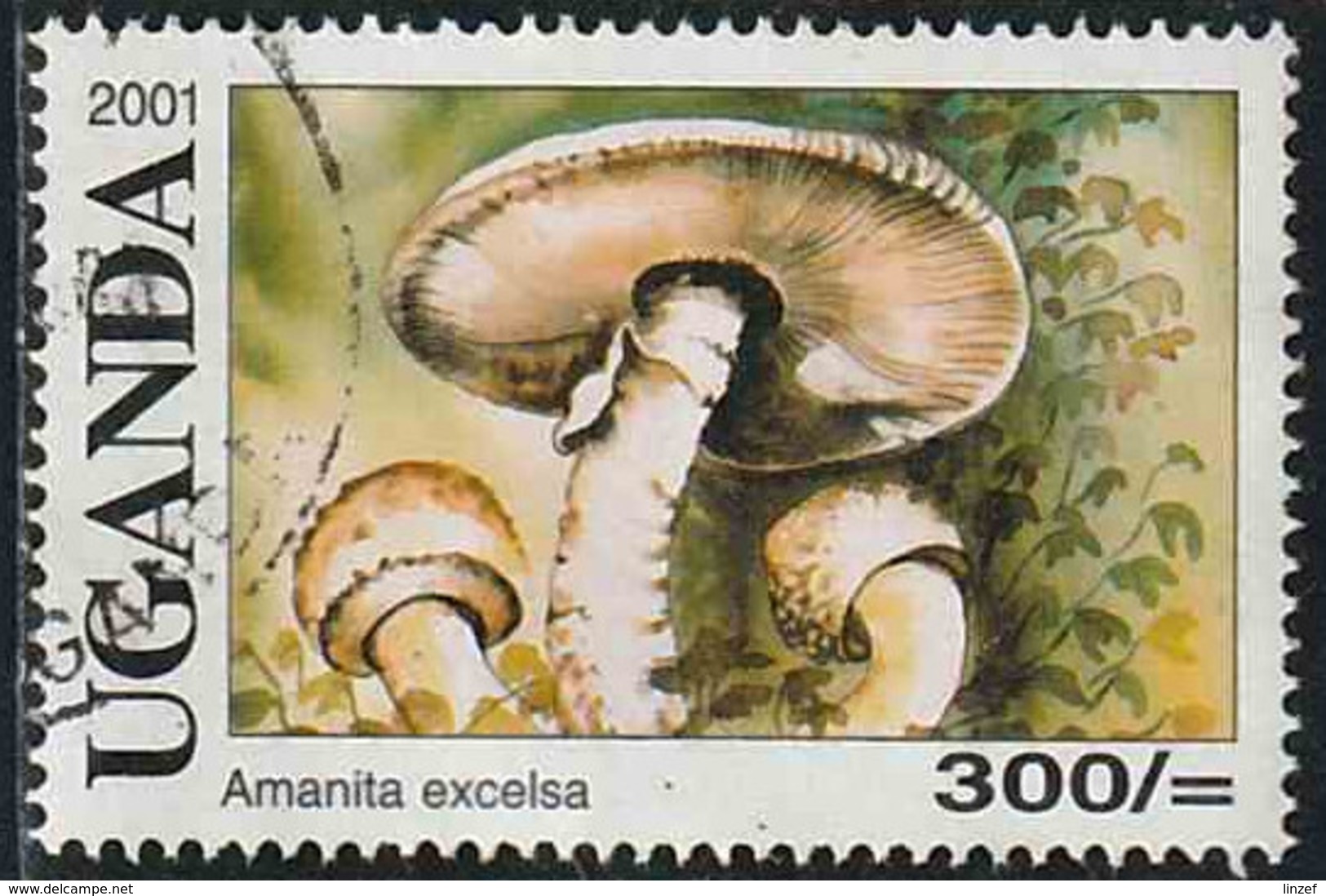 Ouganda 2001 Yv. N°2012 - Champignons - 300$ Amanite - Oblitéré - Uganda (1962-...)