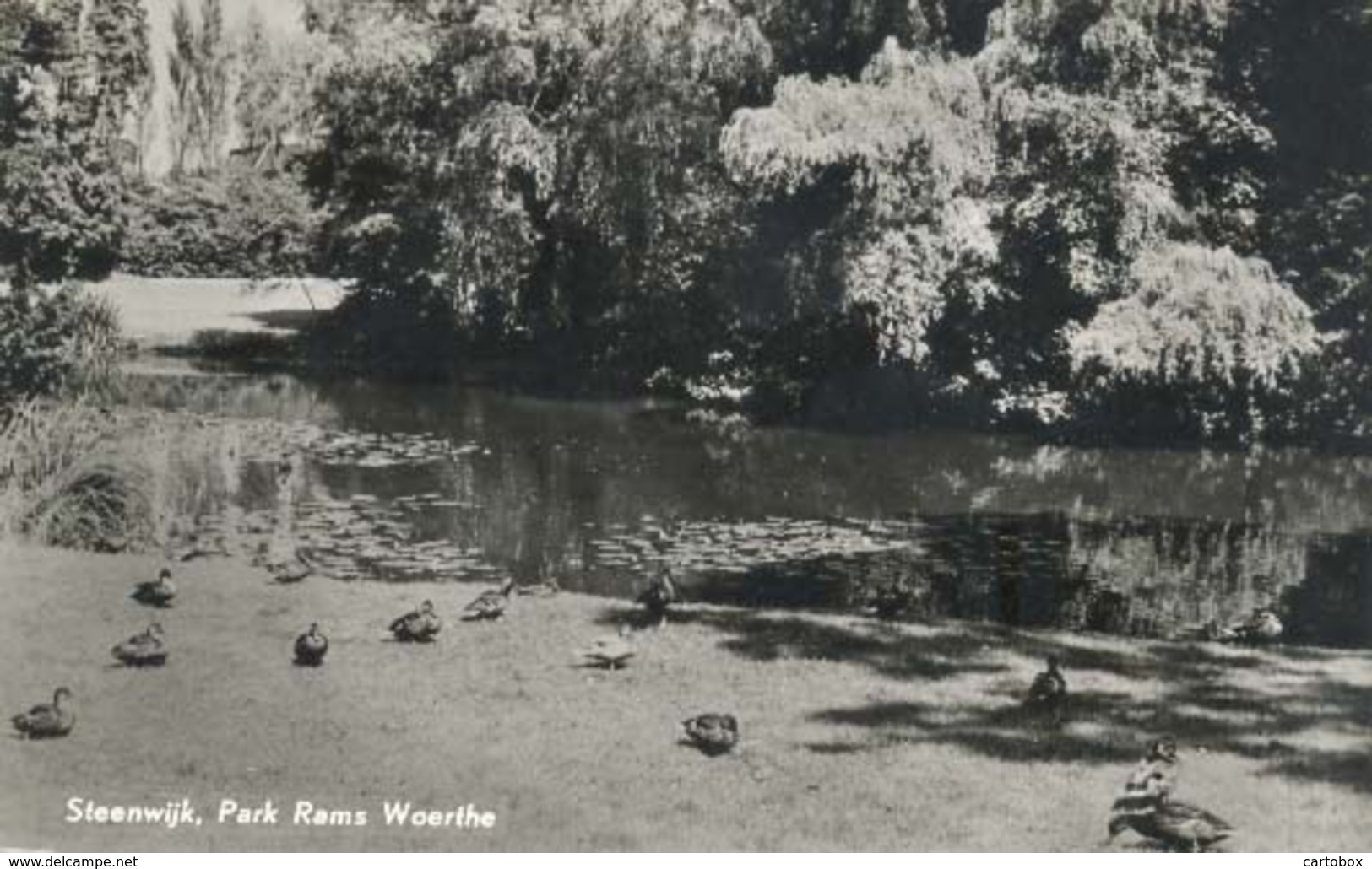 Steenwijk, Park Rams Woerthe - Steenwijk