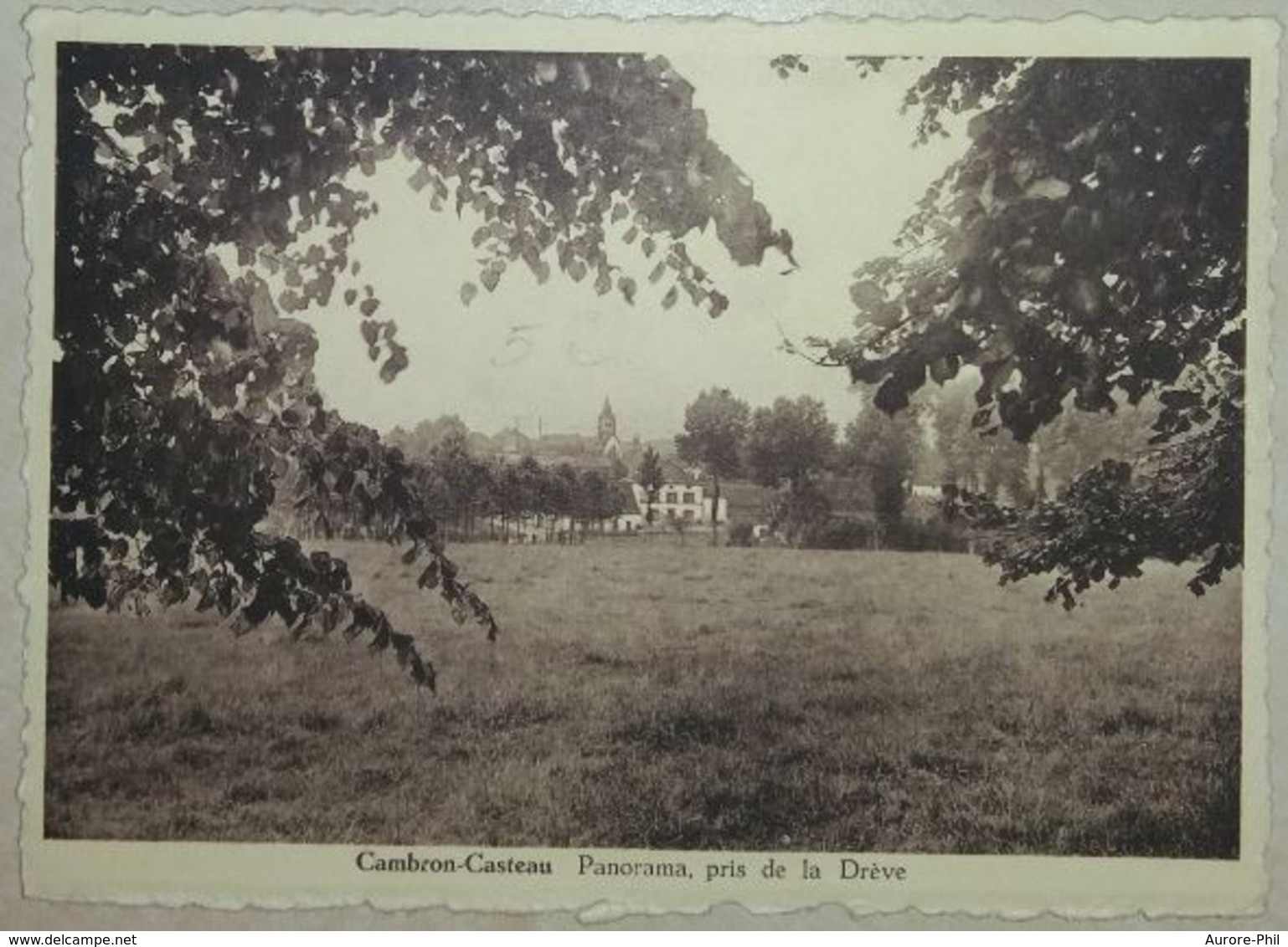 Cambron Casteau Panorama Pris De La Drève - Brugelette