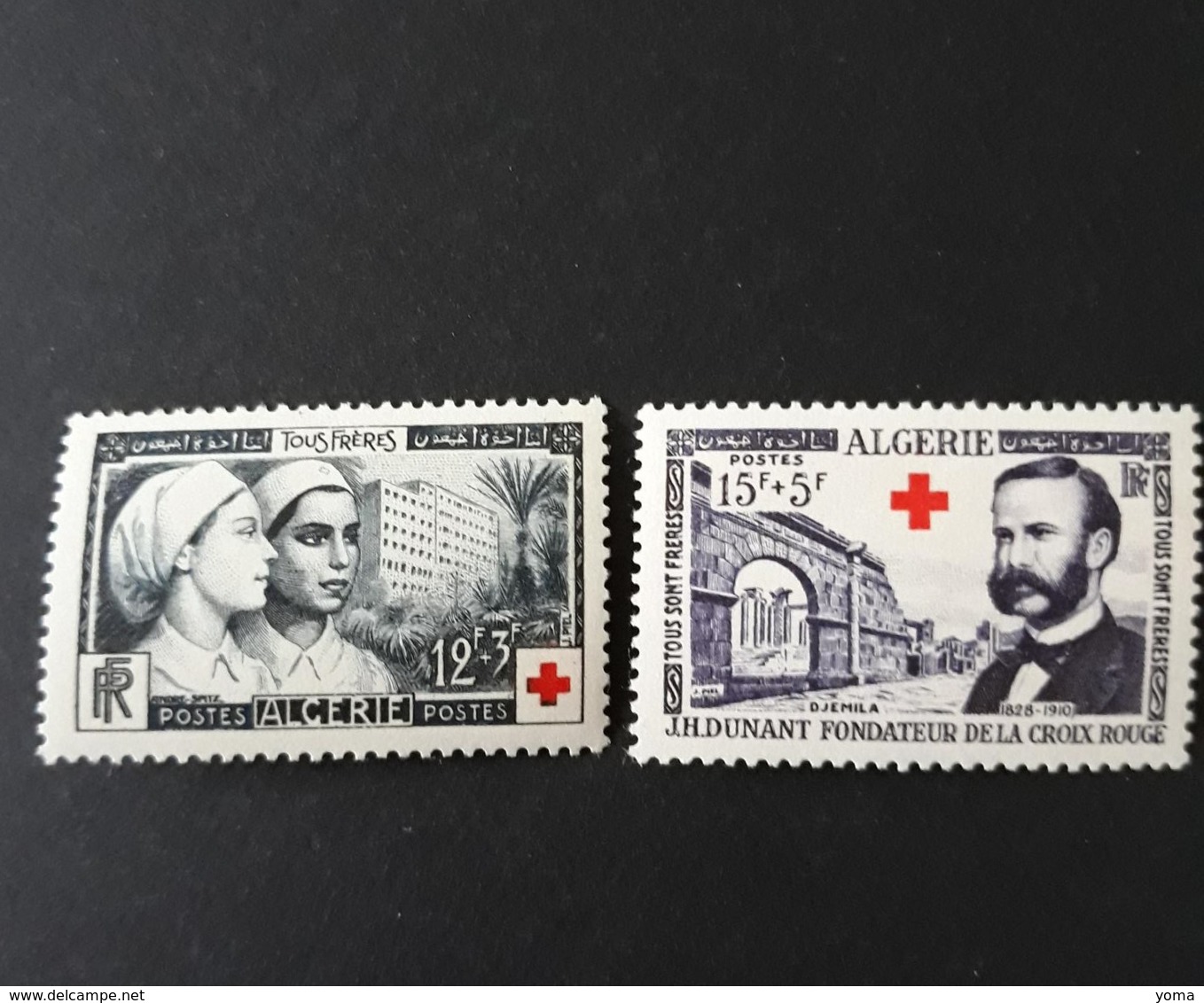 N° 316 Et 317       Croix-rouge  -  Infirmières - Henri Dunant  -  Neuf Sans Charnière - Neufs