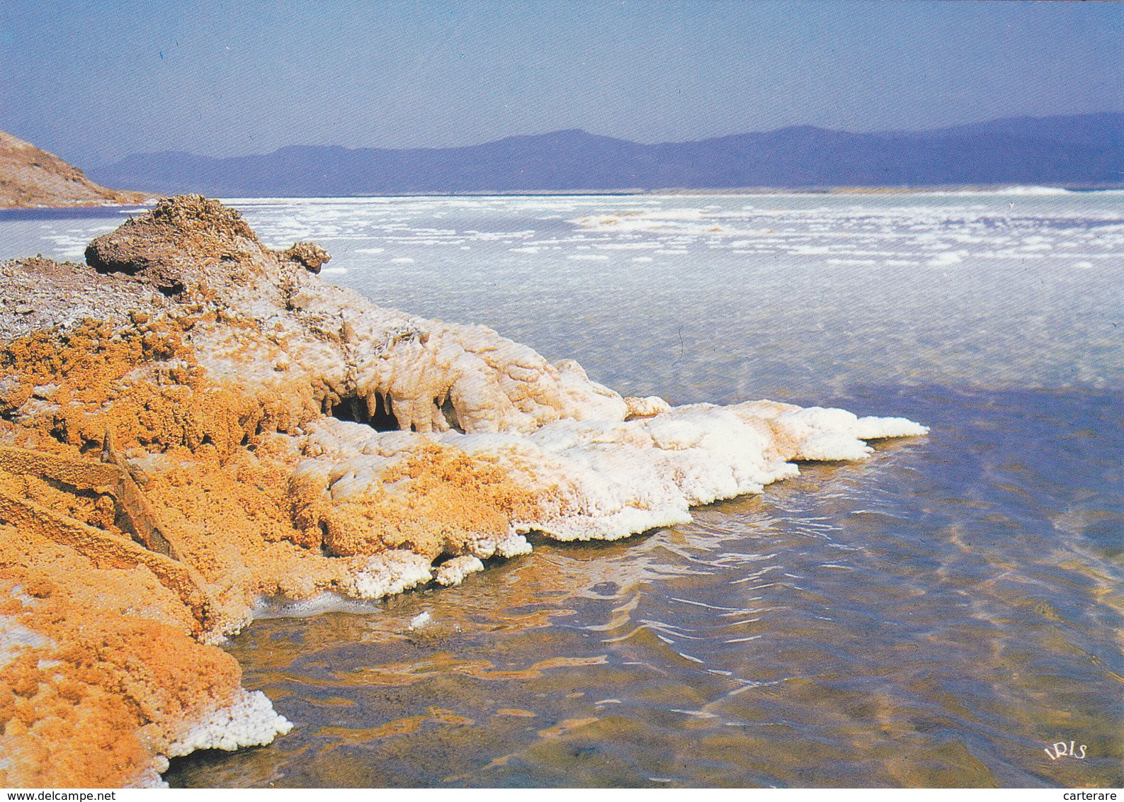 Afrique De L'est,DJIBOUTI ,au Bord De La Mer Rouge,prés Somalie,ethiopie,ASSAL - Djibouti