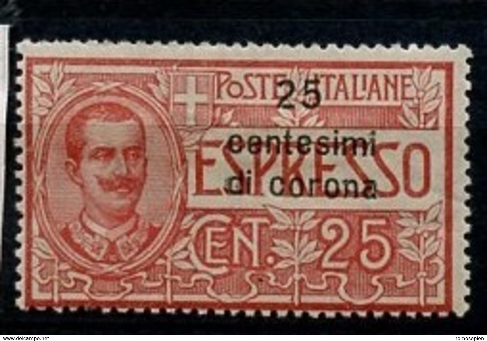 Italie Occupation - Italy - Italien Dalmatie Poste Exprès 1921 Y&T N°ODEX1 - Michel N°BDEM(?) * - 25cs25c V Emmanuel - Dalmatien