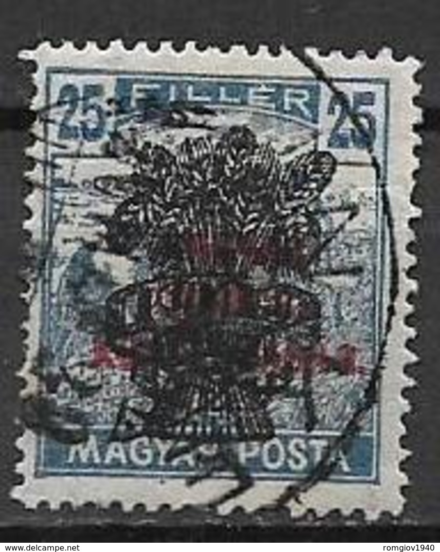 UNGHERIA  1919 SOPRASTAMPATI YVERT. 272 USATO VF - Gebruikt