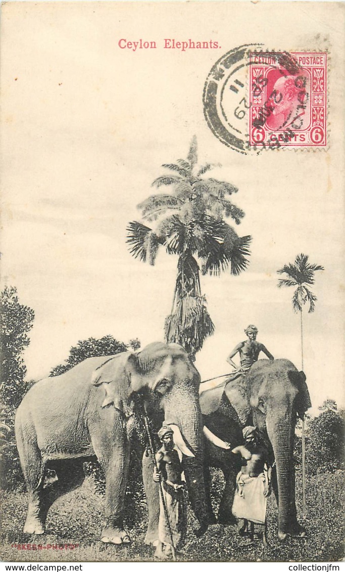 CPA SRI LANKA CEYLAN / ELEPHANT - Sri Lanka (Ceylon)