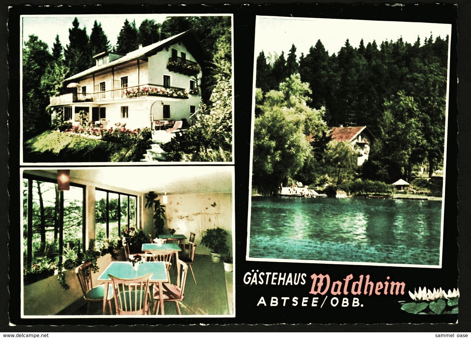 Abtsee / Obb. -  Gästehaus Waldheim  -  Mehrbild-Ansichtskarte Ca.1970  (10257) - Lauf