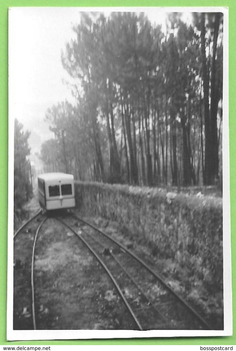 Viana Do Castelo - REAL PHOTO - Elevador De Santa Luzia - Train - Tramway - Viana Do Castelo