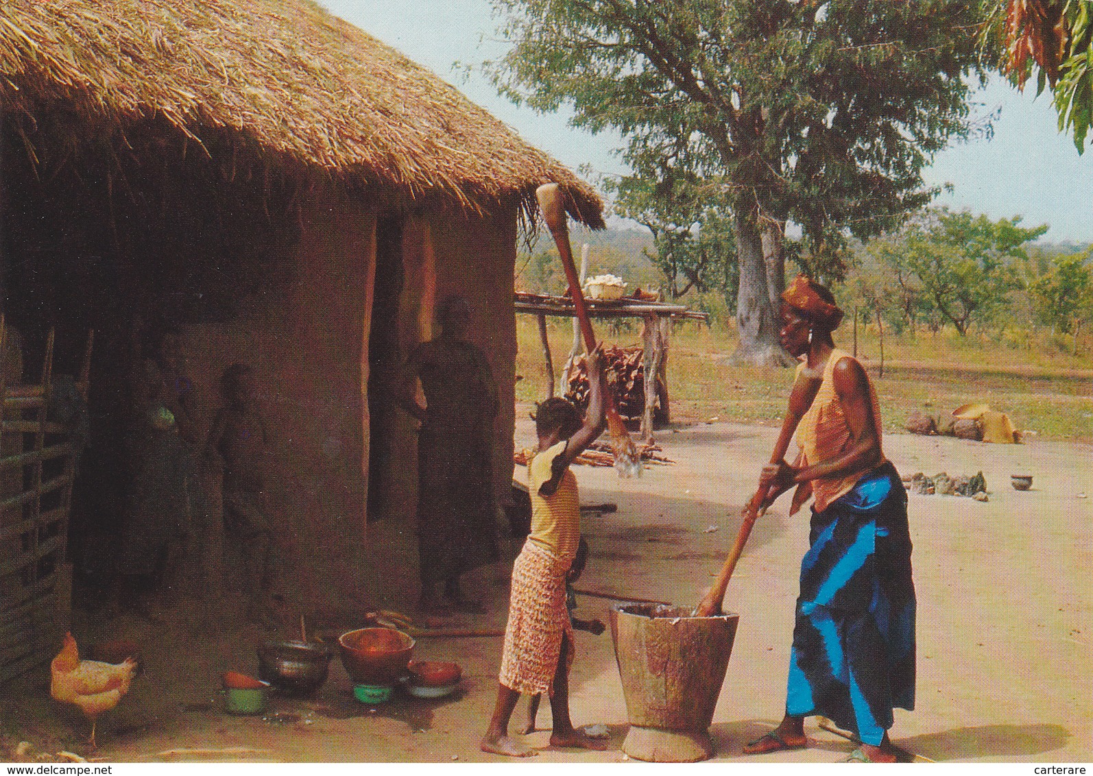 AFRIQUE,CAMEROUN,EDEA,VILLAGE,FERME - Camerún