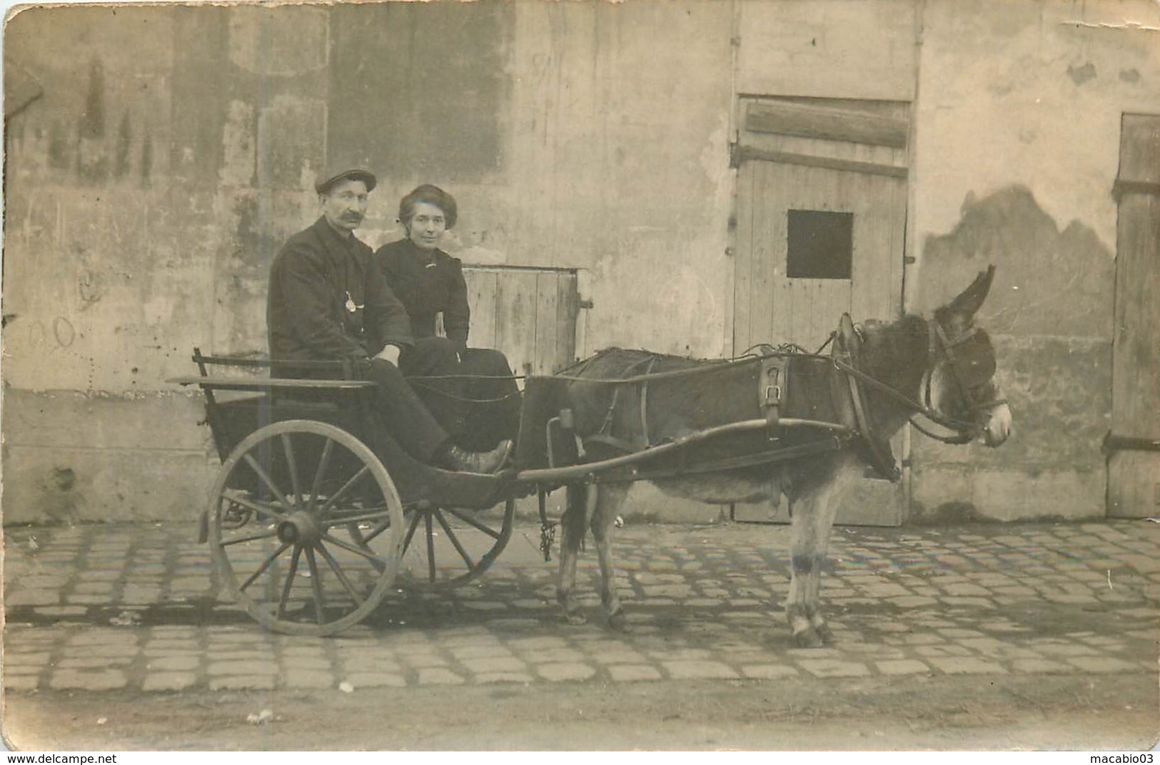 Thèmes-Transports-  Attelage Charette Tirée Par Un âne Carte Photo  Réf 6250 - Altri & Non Classificati