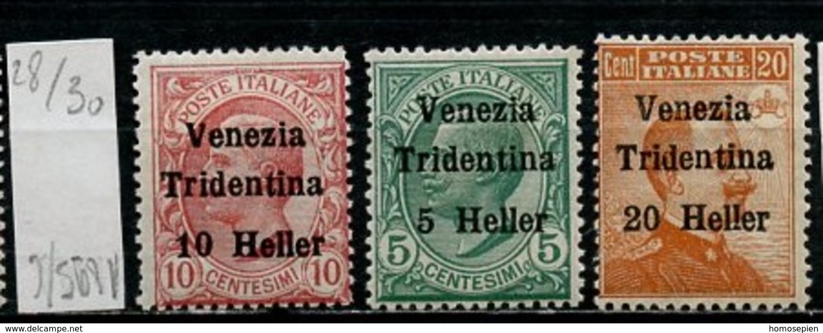 Italie Occupation - Italy - Italien 1919 Y&T N°28 à 30 - Michel N°27 à 29 * - Trentin - Victor Emmanuel III - Trentin