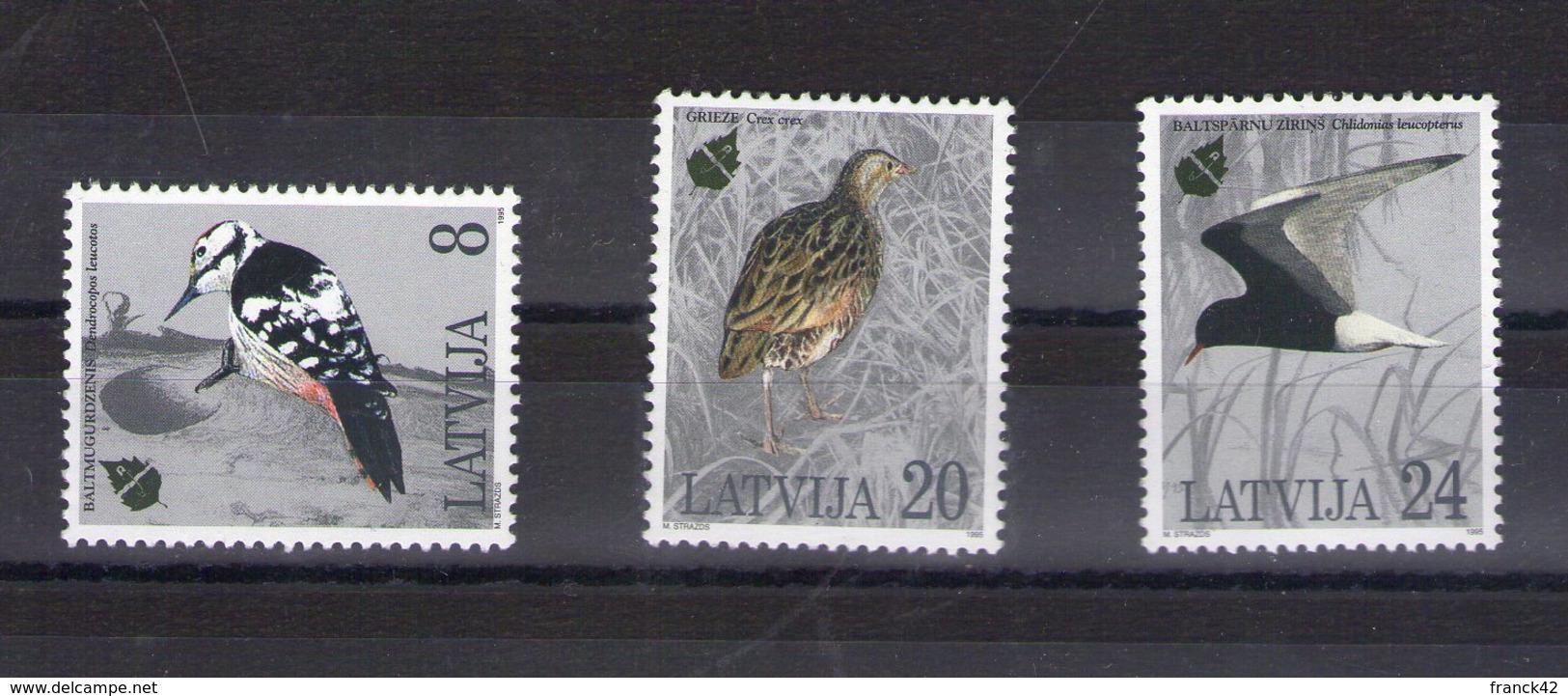 Lettonie. Oiseaux. 1995 - Latvia