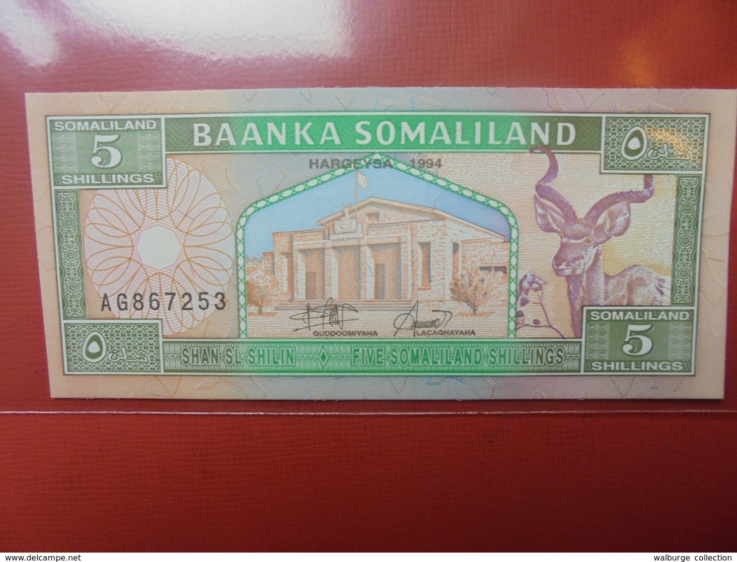 SOMALIE 5 SHILLINGS 1994 PEU CIRCULER/NEUF - Somalie