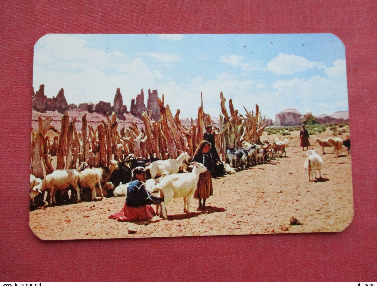 Navajo  Sheep Herd       Ref 3320 - Native Americans